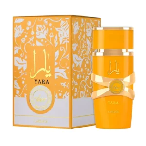 yara tous box